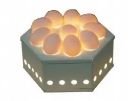 Купить овоскоп итерма (iterma) egg10 – цена от завода, доставка до двери | RuOborudovanie.ru