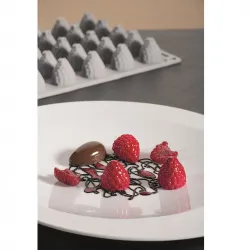 Купить форма силиконовая "gourmand ягода" d24мм h27мм, 7мл, 35 ячеек gg017s – цена от завода, доставка до двери | RuOborudovanie.ru