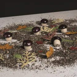 Купить форма силиконовая "gourmand гриб" 28х29мм h27мм, 8мл, 40 ячеек gg025s – цена от завода, доставка до двери | RuOborudovanie.ru
